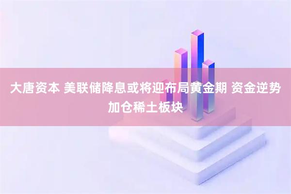 大唐资本 美联储降息或将迎布局黄金期 资金逆势加仓稀土板块