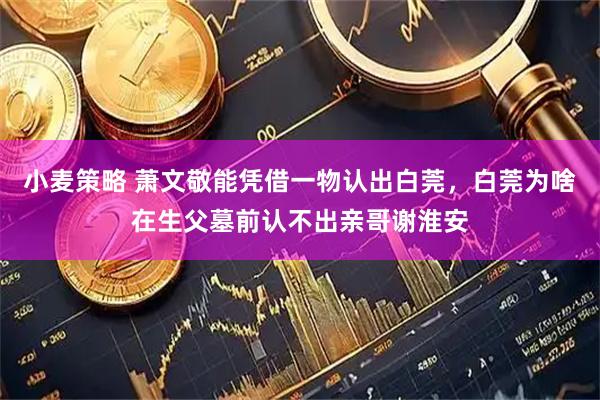 小麦策略 萧文敬能凭借一物认出白莞，白莞为啥在生父墓前认不出亲哥谢淮安