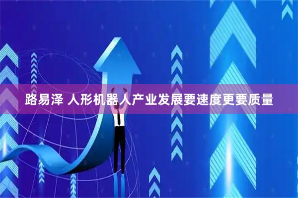 路易泽 人形机器人产业发展要速度更要质量